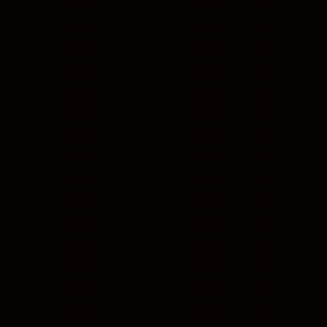 GIF Animat